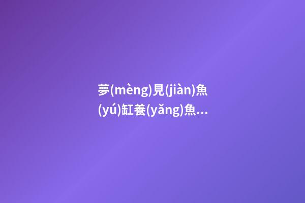 夢(mèng)見(jiàn)魚(yú)缸養(yǎng)魚(yú)　周公解夢(mèng)之夢(mèng)到魚(yú)缸養(yǎng)魚(yú)